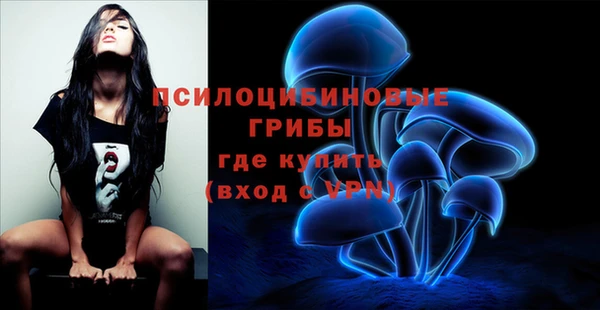 apvp Надым