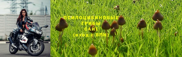 бутират Наволоки