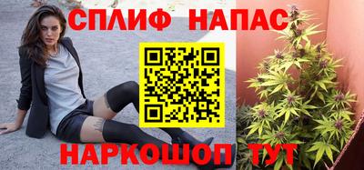 стафф Обь