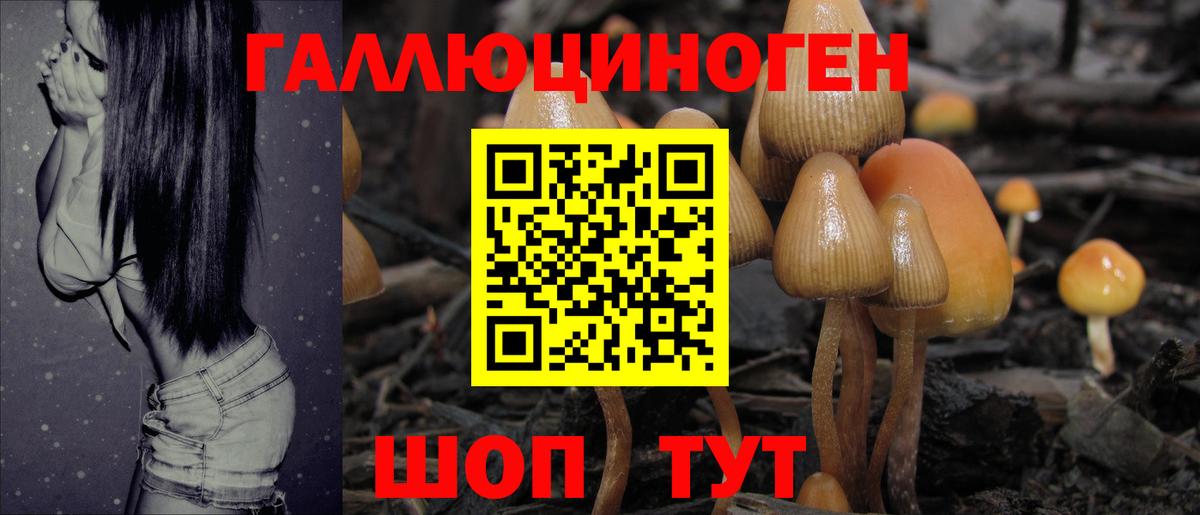 Галлюциногенные грибы GOLDEN TEACHER  Галлюциногенные грибы Psilocybe  Вход с VPN  Чебаркуль 