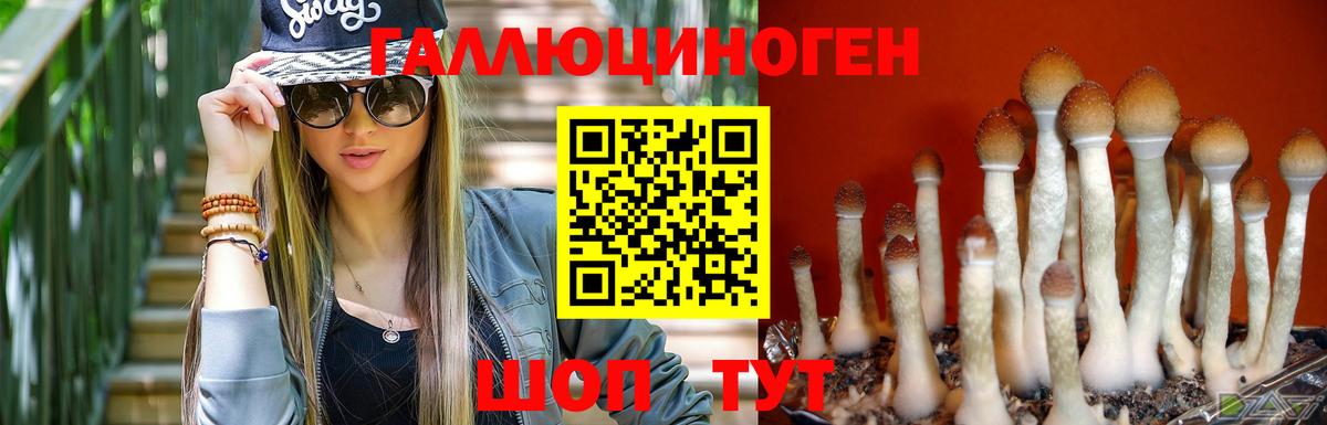 Псилоцибиновые грибы MAGIC MUSHROOMS Чебаркуль